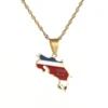 Stainless Steel Costa Rica Map Flag Charm Necklaces La Republica de Costa Rica Map Pendant Chain 3