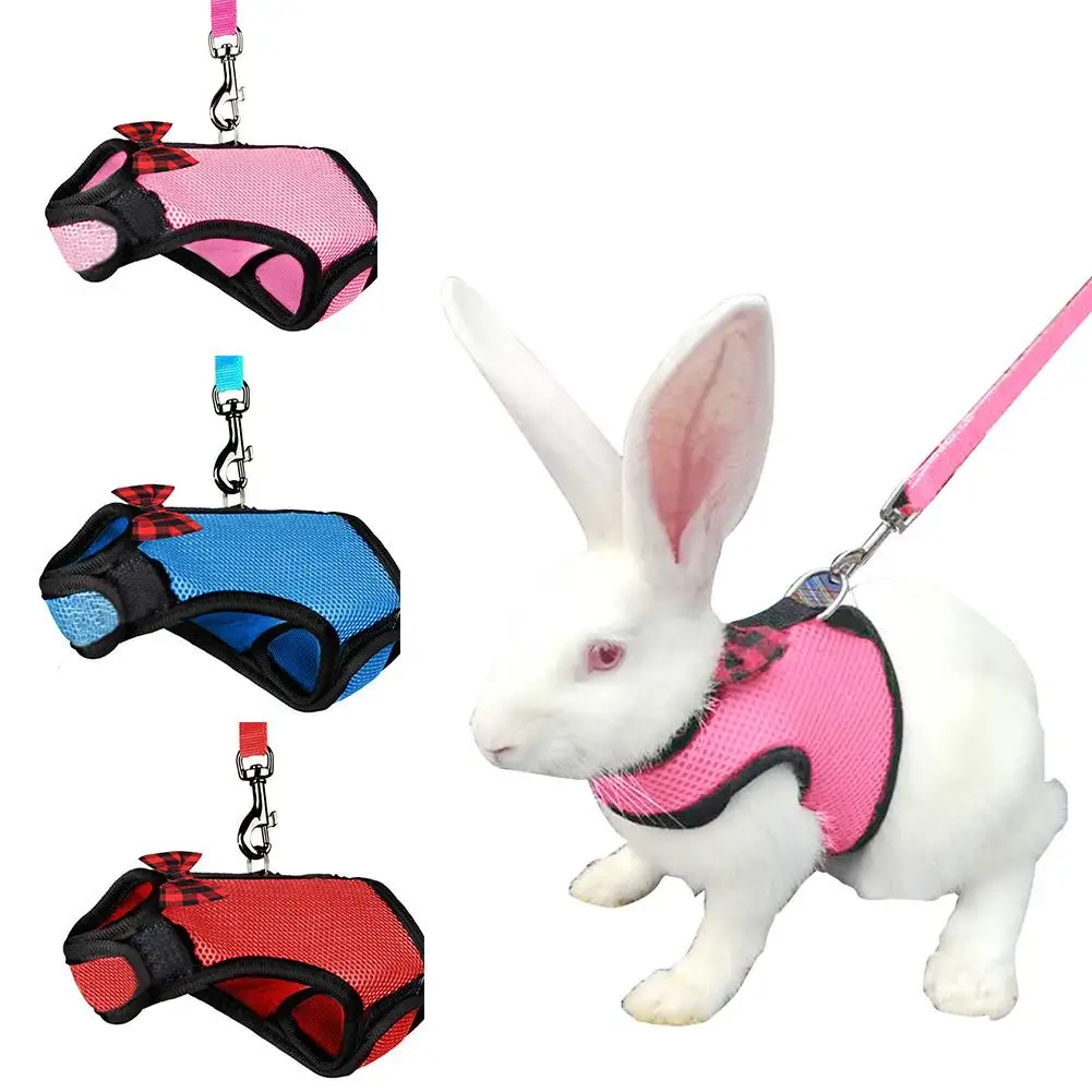 Pet Mesh Soft Harness With Leash Small Animal Vest Lead For Hamster