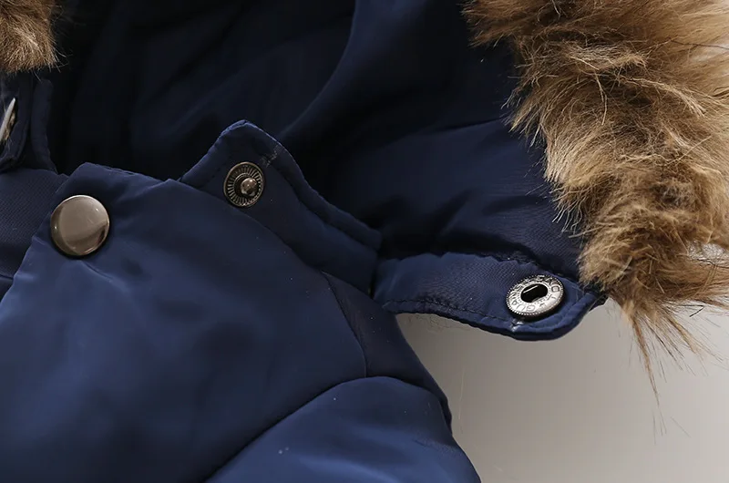 Одежда для собак осень и зима новая водонепроницаемая одежда для собак Tasslon пальто