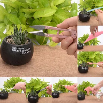 

12 Pieces Succulent Planting Tool Set Mini Gardening Supplies Garden Hand Transplanting Miniature Potted Planting Cactus Tools