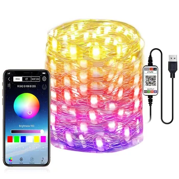 

USB LED String Light Bluetooth App Control String Lights Lamp Waterproof Outdoor Fairy Lights for Christmas Tree Decoration Neon