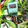 PH Meter Digital Tester 3 in1 Soil Moisture Sunlight Plants Flower Acidity Temperature Measure Garden Analy Tool Weather Station ► Photo 2/6