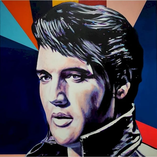 Elvis Presley pop culture painting by numbers kit