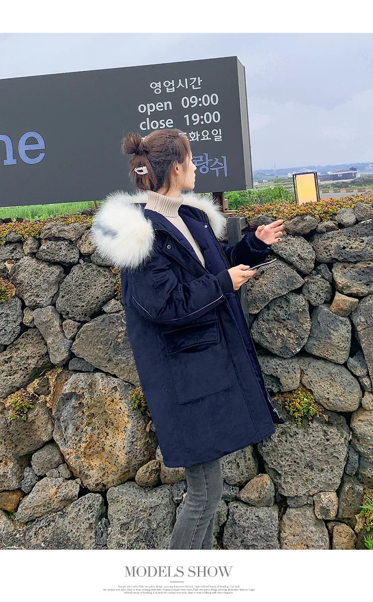  pleuche cotton1_01.jpg