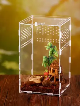 

Reptile Tank Insect Spiders Tortoise Lizard Acrylic Transparent Breeding Box Vivarium Lid Reptile Pet Product Terrarium
