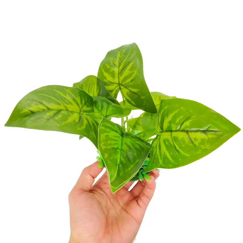 A4