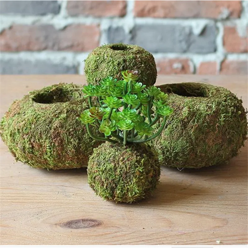 

Moss Vase Flower Pot Green Plants Base For Home Shop Table Decor