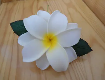 Рисунок 2 - Бесплатная доставка F8911 100 шт