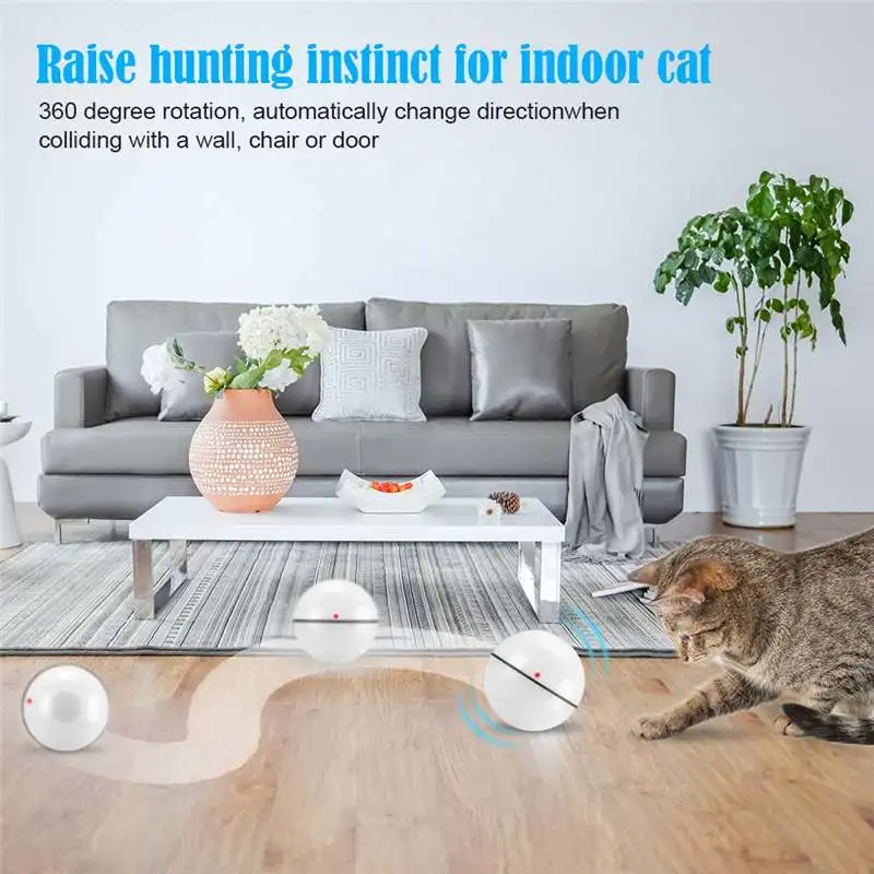 Auto Rolling Ball For Pet