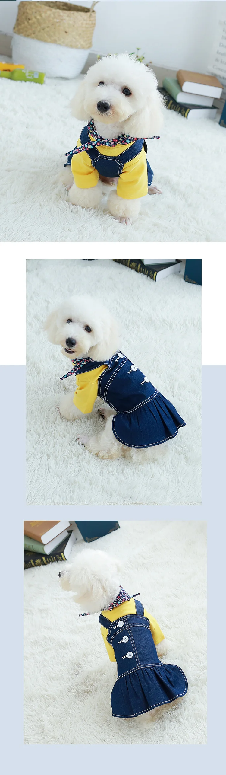 9290824002_1413301333