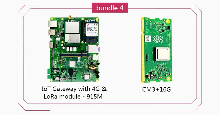 Raspberry Pi IOT шлюзовый модуль с модулем loRa 4G поддержка Raspberry Pi Compute Module CM1 CM3 CM3+ LITE/8G/16G/32G - Цвет: bundle 4