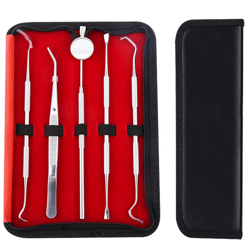 5pcs Teeth Cleaning Oral Tool Set Stainless Steel Dental Professional