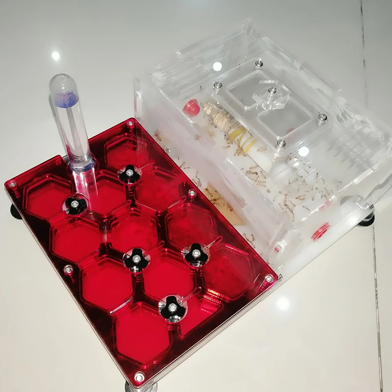 Flash Sale Ant-Farm Nest Water-Tower Acrylic Black with White Background Plane Edge-Ant Drawer Moisturizing 0BJknrXjW