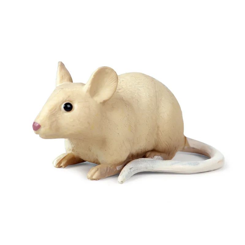 Детская сплошная модель диких животных грызунов модель Marmot mouse Chipmunks игрушка украшение гаражный комплект