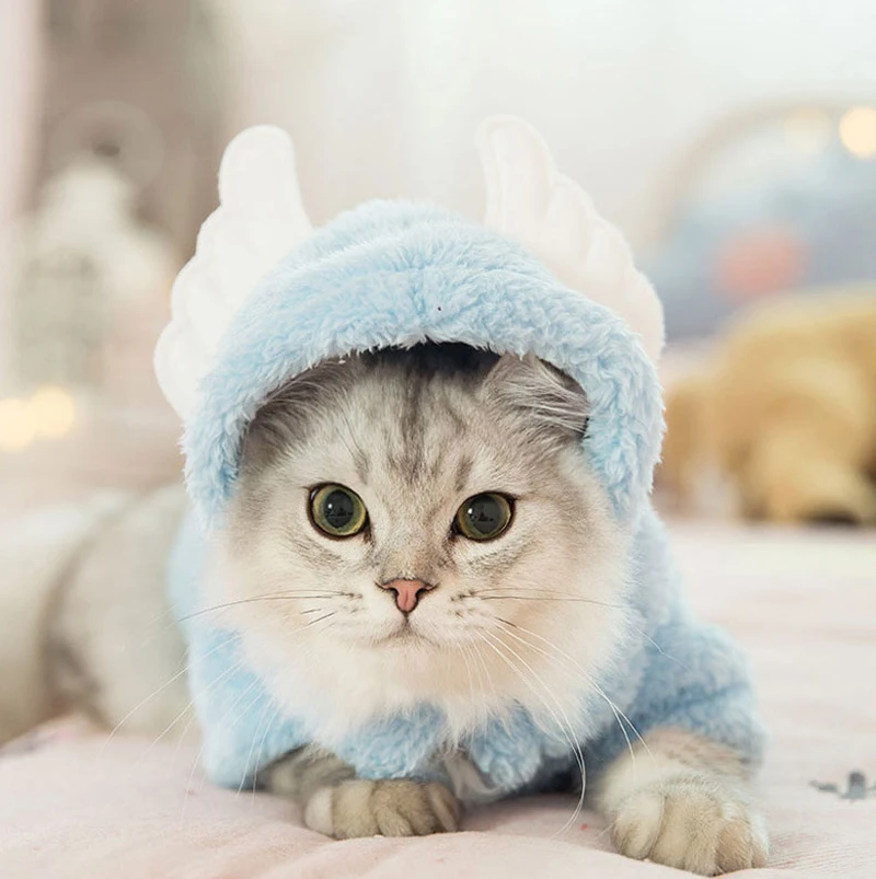 Одежда для домашних животных, одежда для кошек, зимняя одежда для домашних животных, котов пальто для кошек, куртка, одежда для домашних животных, одежда для кошечек, собак, Одежда для животных - Цвет: blue