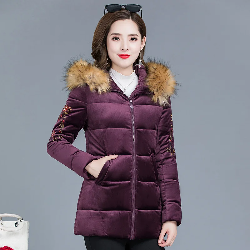 

Simple Short Fashion Gold Velvet Warm Cotton Coat 2019 New Style Korean-style Fur Collar Hooded Long Sleeve Versatile Cotton-pad