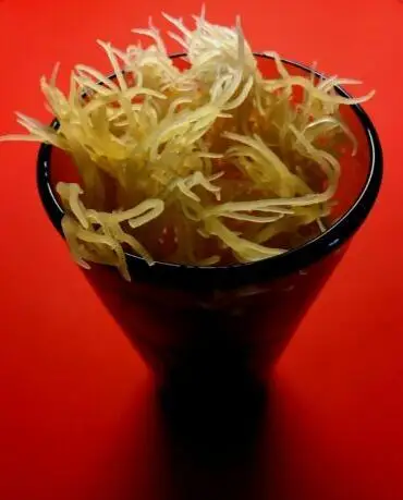Ирландский мох натуральный ямайский морской мох сырой дикий изготовленный 450 г