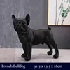 French Bulldog Black
