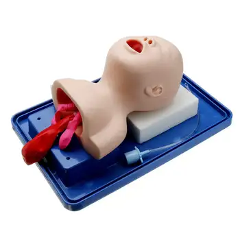 

Newborn/Baby Tracheal Intubation Model Simulated Pseudo-human Intubation Manikin Study Teaching Model Educational Supply