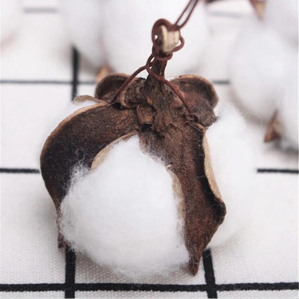 HTB1cFhYXOzxK1RkSnaVq6xn9VXay