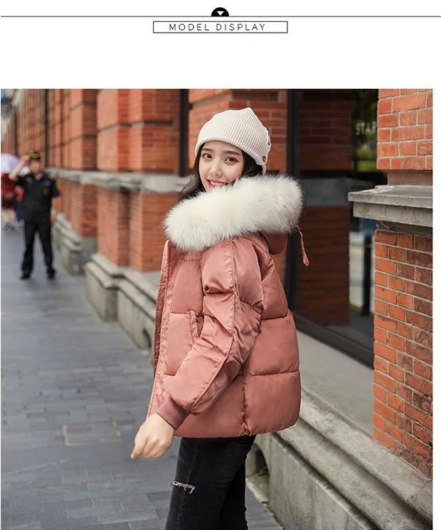 下载 - 2019-11-01T101951.536