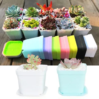 

5pcs Succulent Plant Flower Seeds Nursery Pots Office Desktop Flowers Indoor Garden Plants Rare Gifts For Kids for Flower Pot