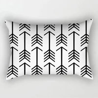 30*50cm Simple Black and White Geometric Decorative Pillowcases 2