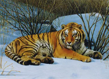 

100% Hand-painted Wood Tiger Oil Painting on Canvas Animal Wall Art for Living Room Bedroom Home Decorations