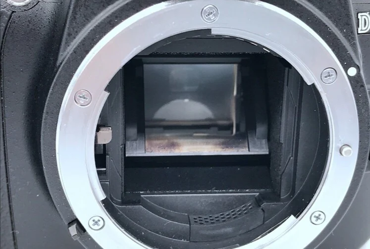 61fJzTJONmL._SL1500_