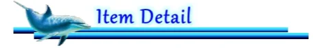 Item Detail 