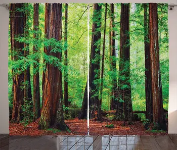 

Woodland Window Curtains Redwood Trees Northwest Rain Forest Tropical Scenic Wild Nature Branch Living Room Bedroom Decor