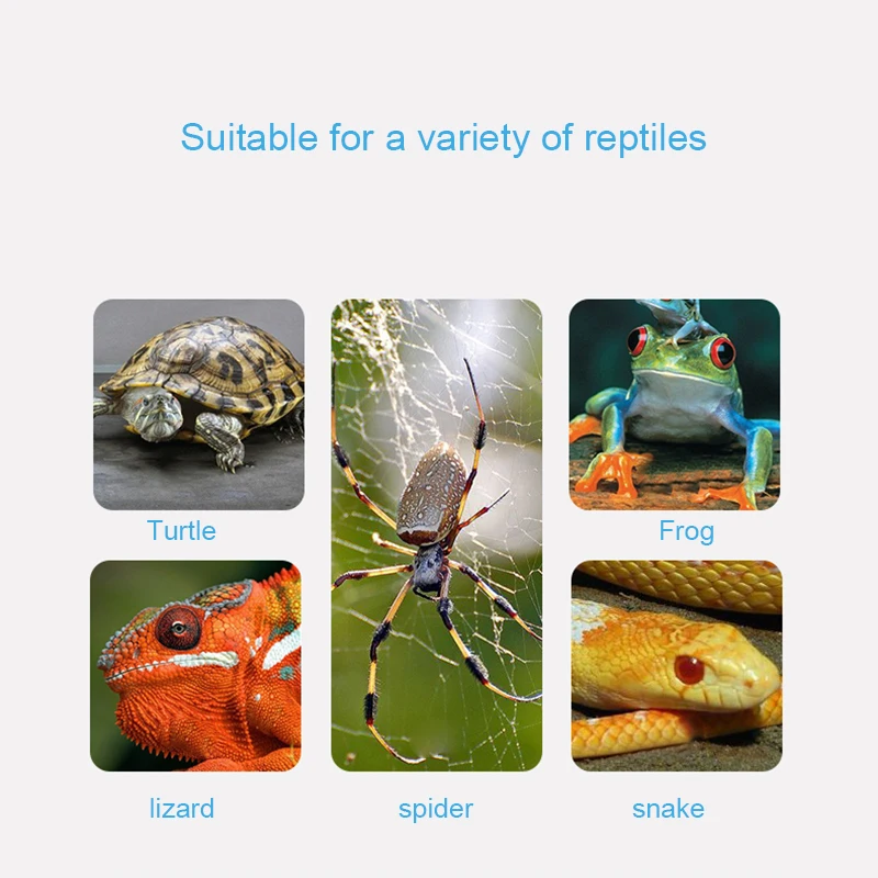 UVB E27 Pet Reptile Lamp Clip-on Bulb Lamp Holder Turtle Basking UV Heating Kit Tortoises Light Lizards Lighting EU Plug