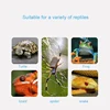 UVB E27 Pet Reptile Lamp Clip-on Bulb Lamp Holder Turtle Basking UV Heating Lamp Kit Tortoises Light Lizards Lighting  EU Plug 3