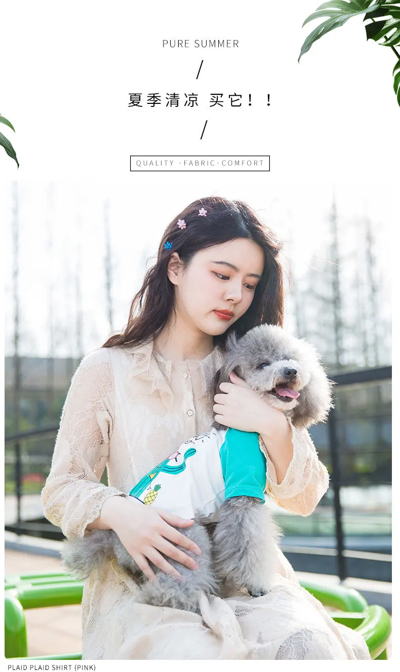 Spring and Summer Leisure Style Pet Dog Clothing Comfortable and Breathable Fashion Cute T-shirt Teddy Bichon Small Dog Clothing