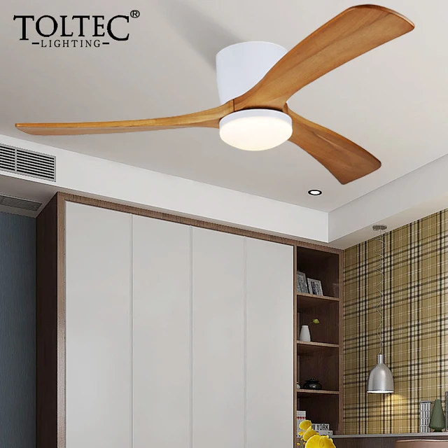 Roof Lighting Fan Fashion Ceiling Fans 