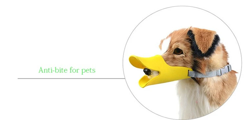 HTB145Kpckfb_uJkSmLyq6AxoXXaS