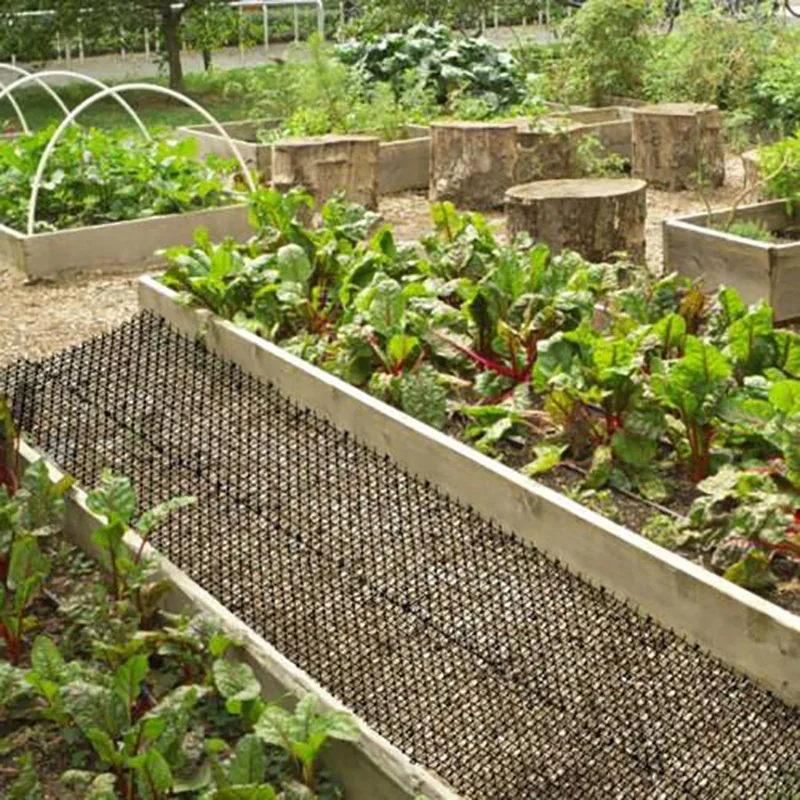 1 Pc Garden Cat Thorn Mat Cats Dogs Repellent Mat Plastic Keeping Cats And Dogs From Digging Green Plant Protection Kitchen Home