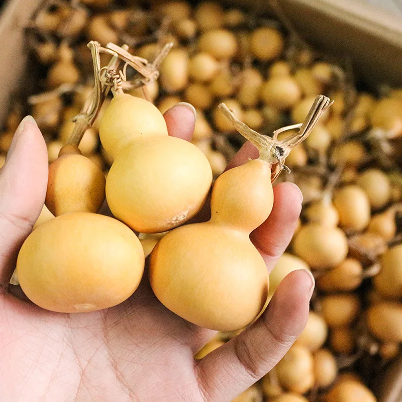10 pieces Dried Gourds Lagenaria siceraria bottle gourd calabash cucurbit | Дом и сад