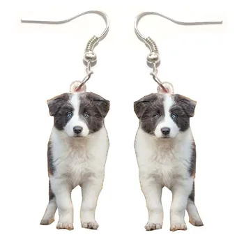 

1 Pair Border Collie Dog Acrylic Earrings Stainless Steel Dogs Gift Girl Fashion Men Charm Earrings for Women Kpop Earrings