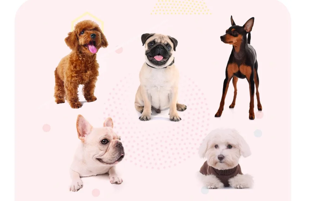 洁足杯详情页-F81_05_03