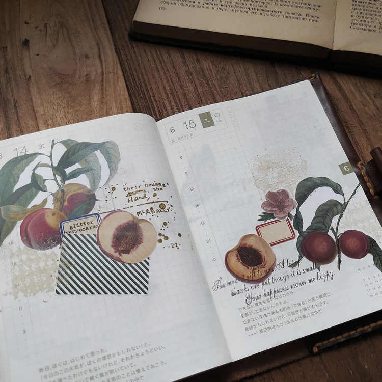 9Pcs/Pack Retro Fruit Leaves Sticker DIY Craft Scrapbooking Album Junk Journal Planner Decorative Stickers