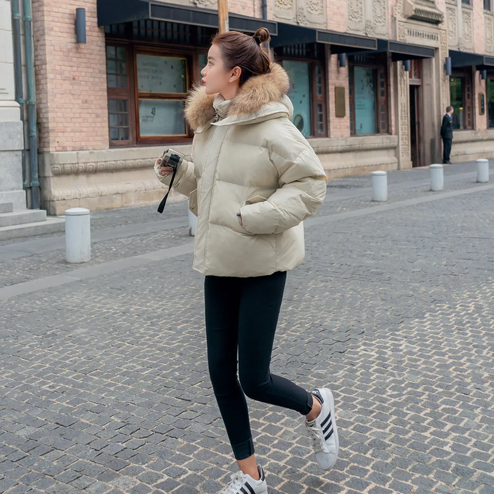 

Photo Shoot 2018 Winter New Style Fashion Korean-style WOMEN'S Wear Hooded Fur Collar Short Cotton-padded Clothes down Coat Cott