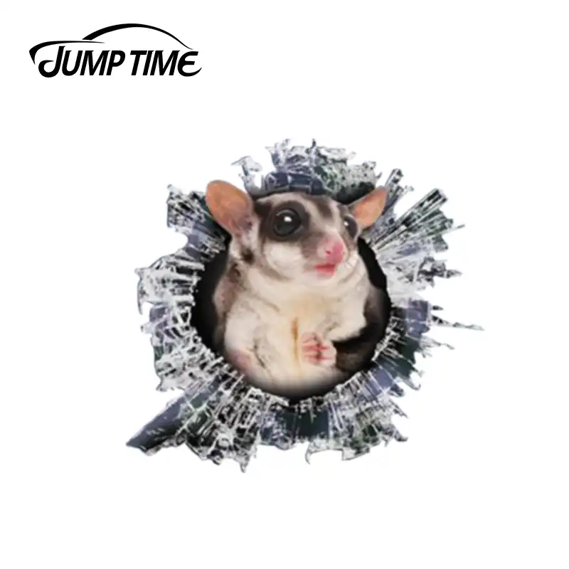 Jump Time 13cm X 12 2cm 3d Sugar Glider Window Decal Glass Slag Decal Reflective Stickers Waterproof Bird Decals Car Stickers Aliexpress