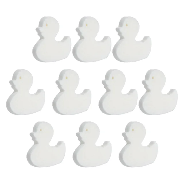 10pcs duck
