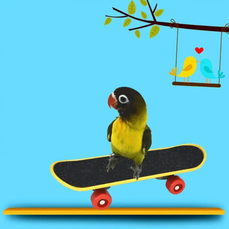 5Pcs/Set Parrot Training Toys Mini Shopping Cart Training Rings Skateboard Stand Perch Chewing Toy Cockatiel Pet Bird Supply