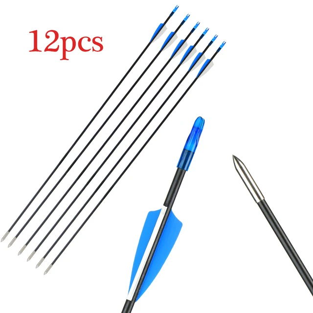 Archery Fiberglass Arrows 31inch Hunting Target Arrows for Recurve Bow Traditional Longbow with Fixed Arrows Tips 12pcs