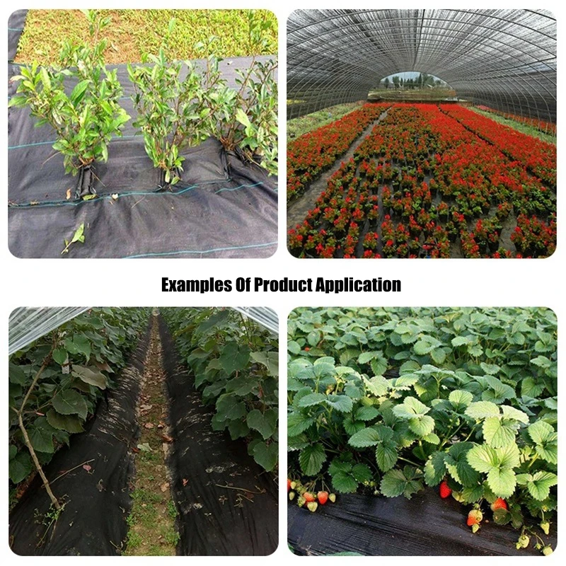 TB2ogsXXTQspeRjt_a0XXbPbFXa_!!3347989465