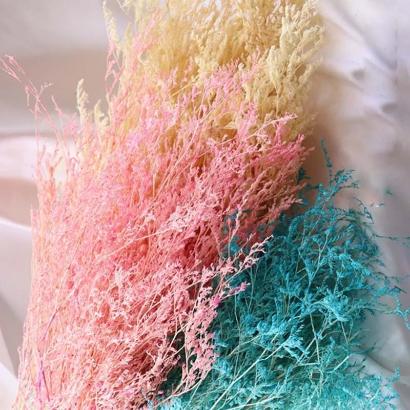 50/г ваза цветок букет цветов сухоцветы украшения художественные цветы мини