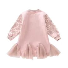 DFXD/ г. Осенне-зимнее платье с длинными рукавами для девочек-подростков модное корейское Розовое Бальное Платье, уплотненная сетчатая Толстовка платье принцессы для детей от 3 до 12 лет