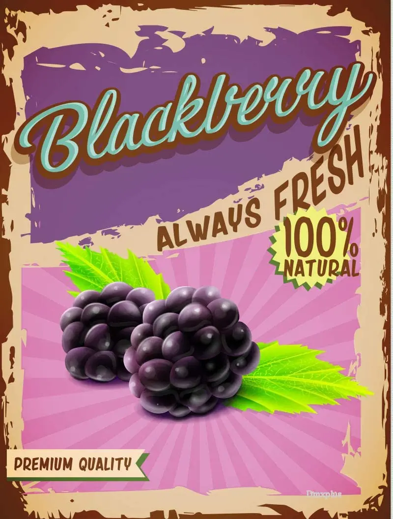 

Losea BlackBerry Always Fresh Vintage Metal Sign, Retro Tin Signs for Store, Bar, Home Decoration 16x12 Inches